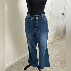 Lane Bryant Dark Blue Flare Jeans